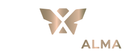 logo academia alma 2